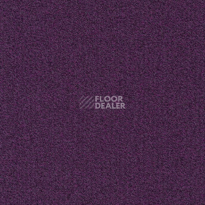 Ковровая плитка Modulyss Millennium Nxtgen Millennium Nxtgen 411 фото 1 | FLOORDEALER